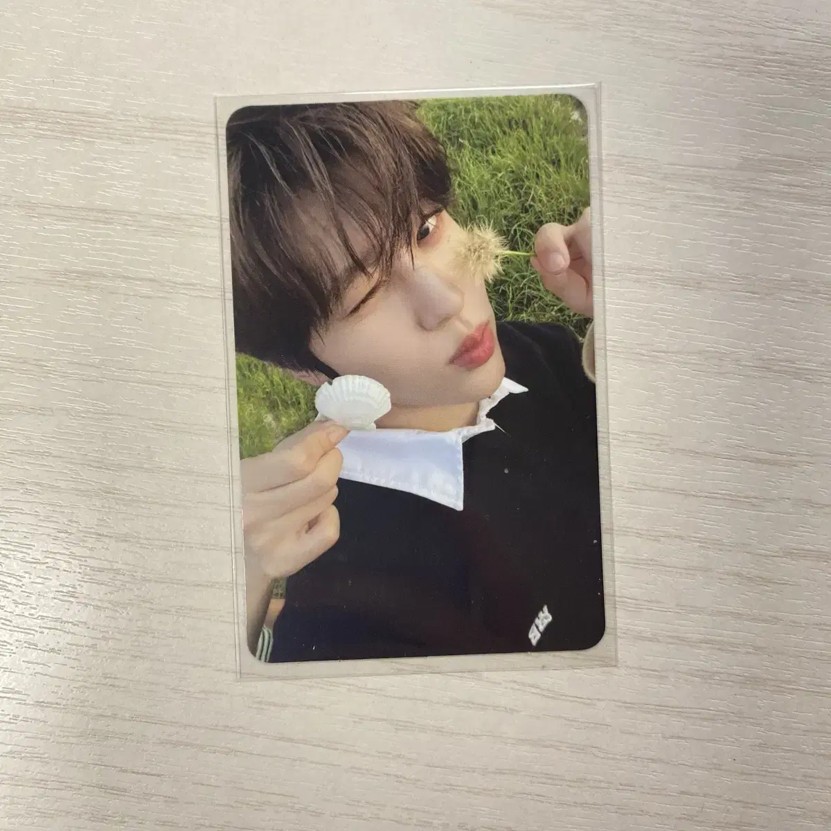 NCT Wish sion Steady tc photocard unreleased photocard sell WTS