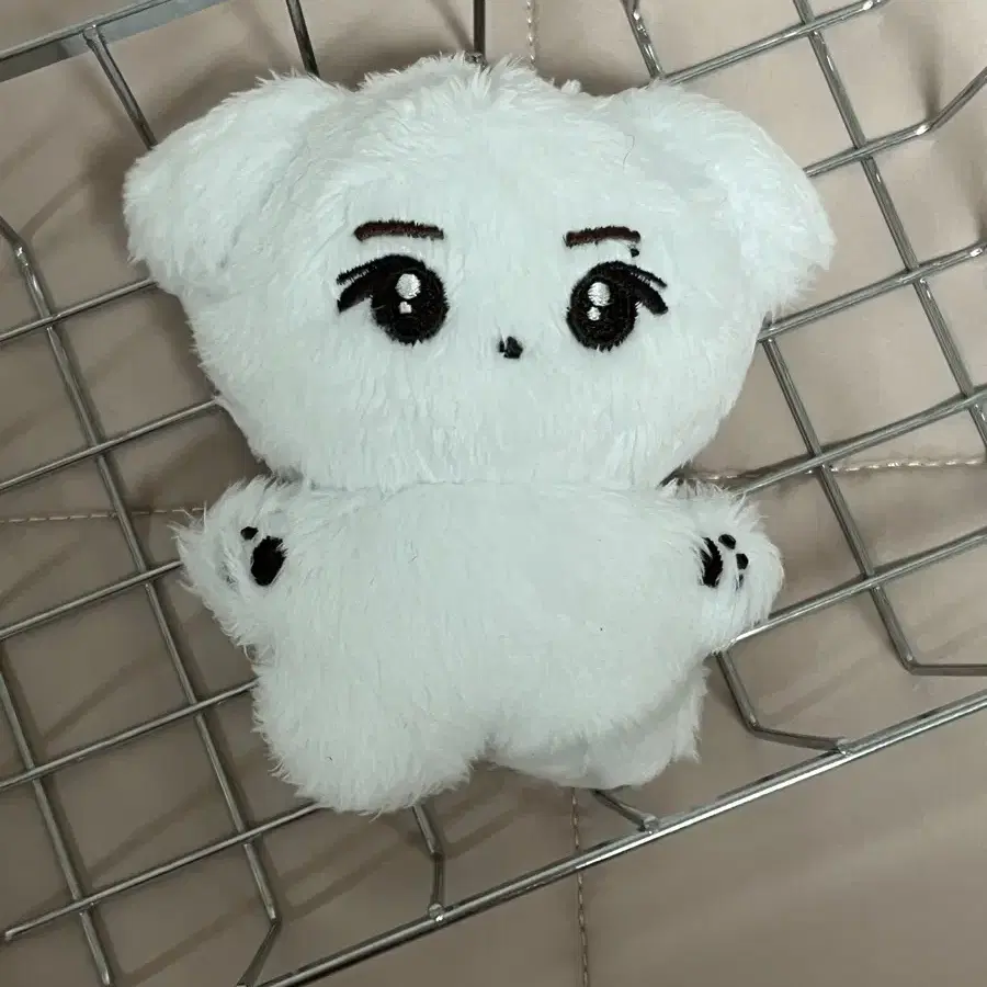 라이즈 성찬 10cm 인형 숑뭉이 원가양도