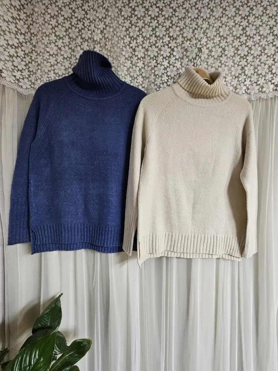 보들보들 쫙쫙 편한 pola knit individual purchase 만원