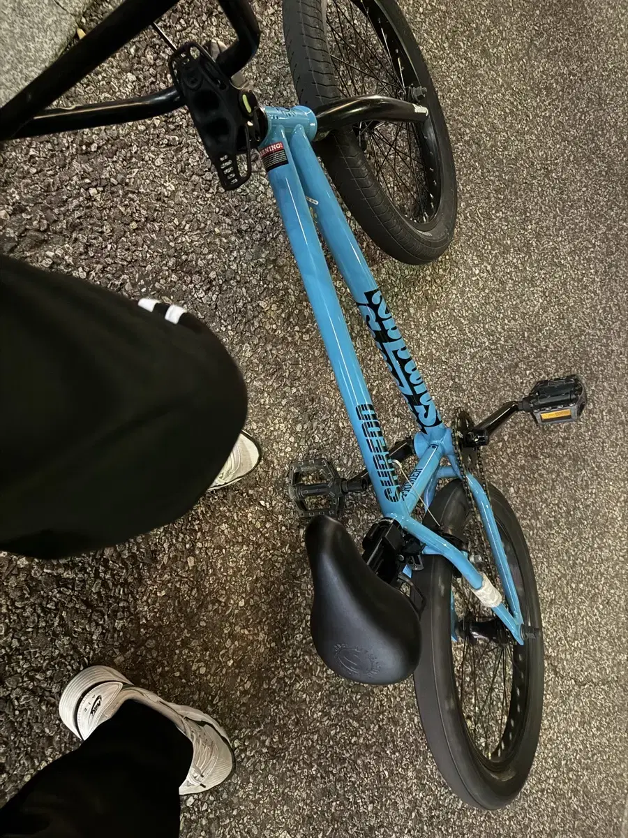 선데이bmx 프라이머