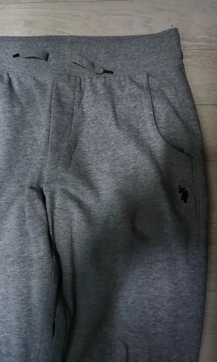 Polo Brushed Jogger Pants