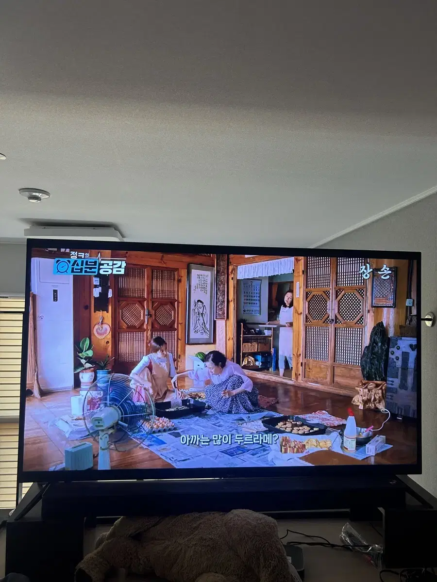 인켈 55인치 TV