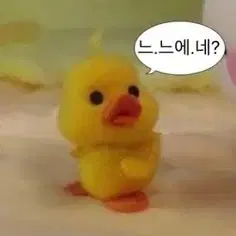 앙스타 와타루 구누이