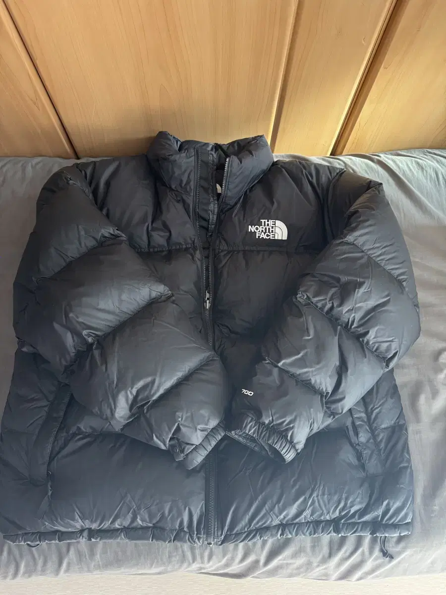 The North Face Nupsi 1996 Overseas Edition