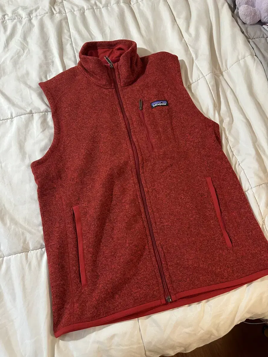 Patagonia Knit VestSize M