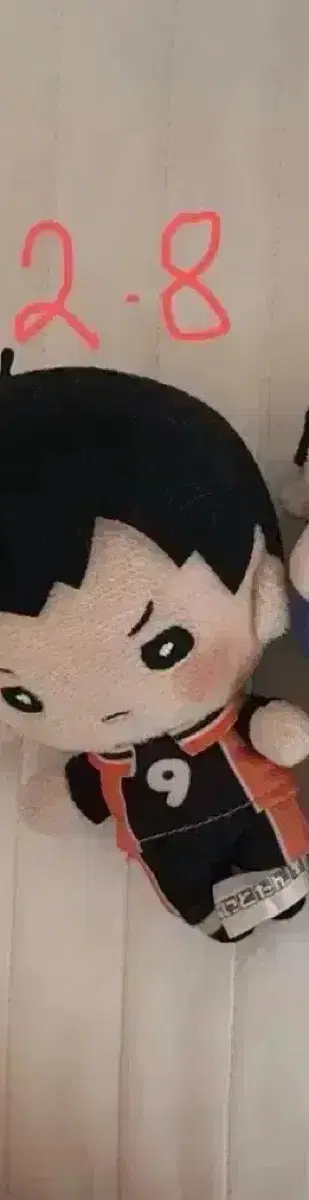 Wonka) haikyuu Kageyama Goods Nitotan Chibinui Hug Kyara Yorinui