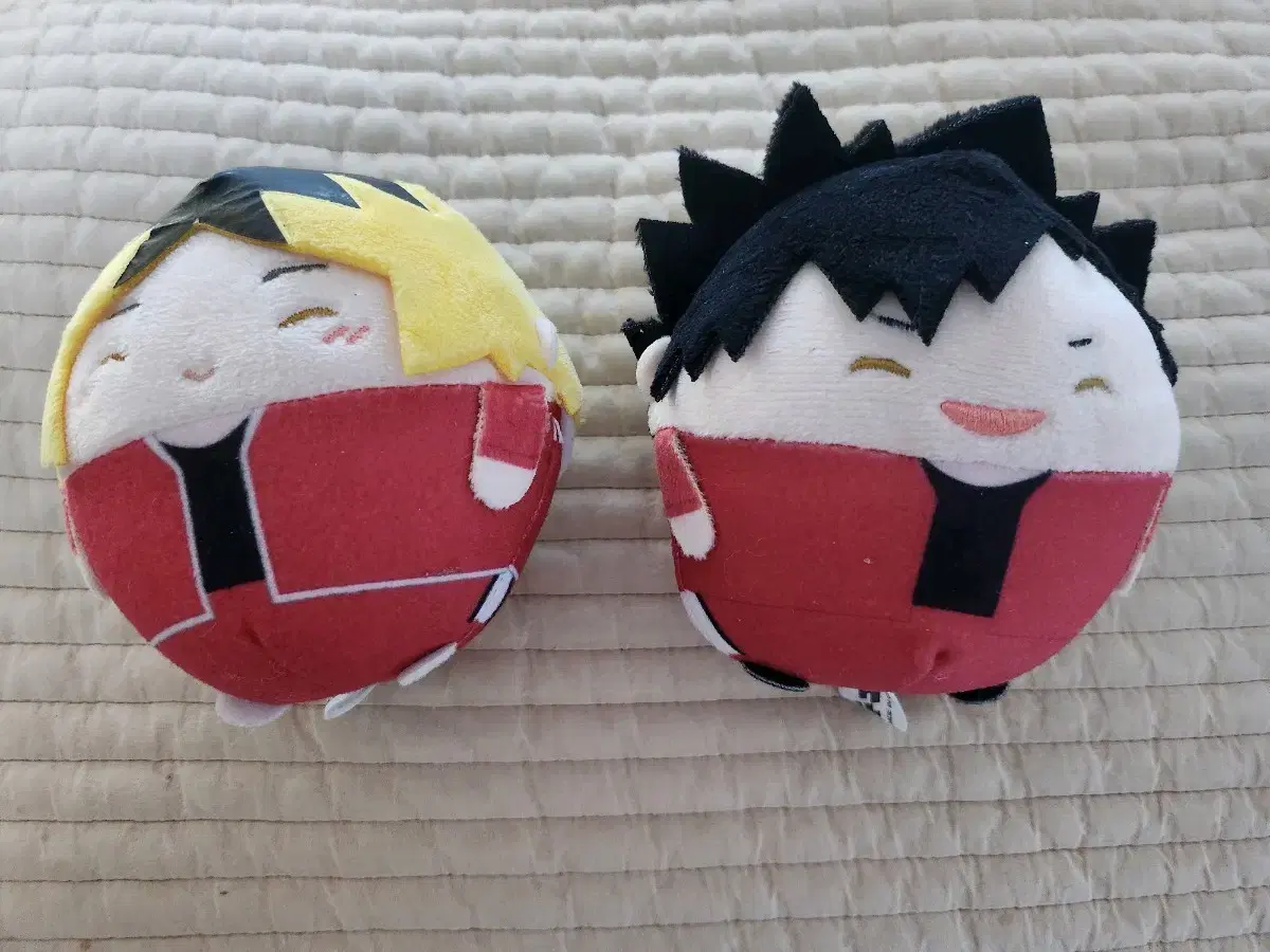 Kuroo Kenma special Fuwa Kororing S