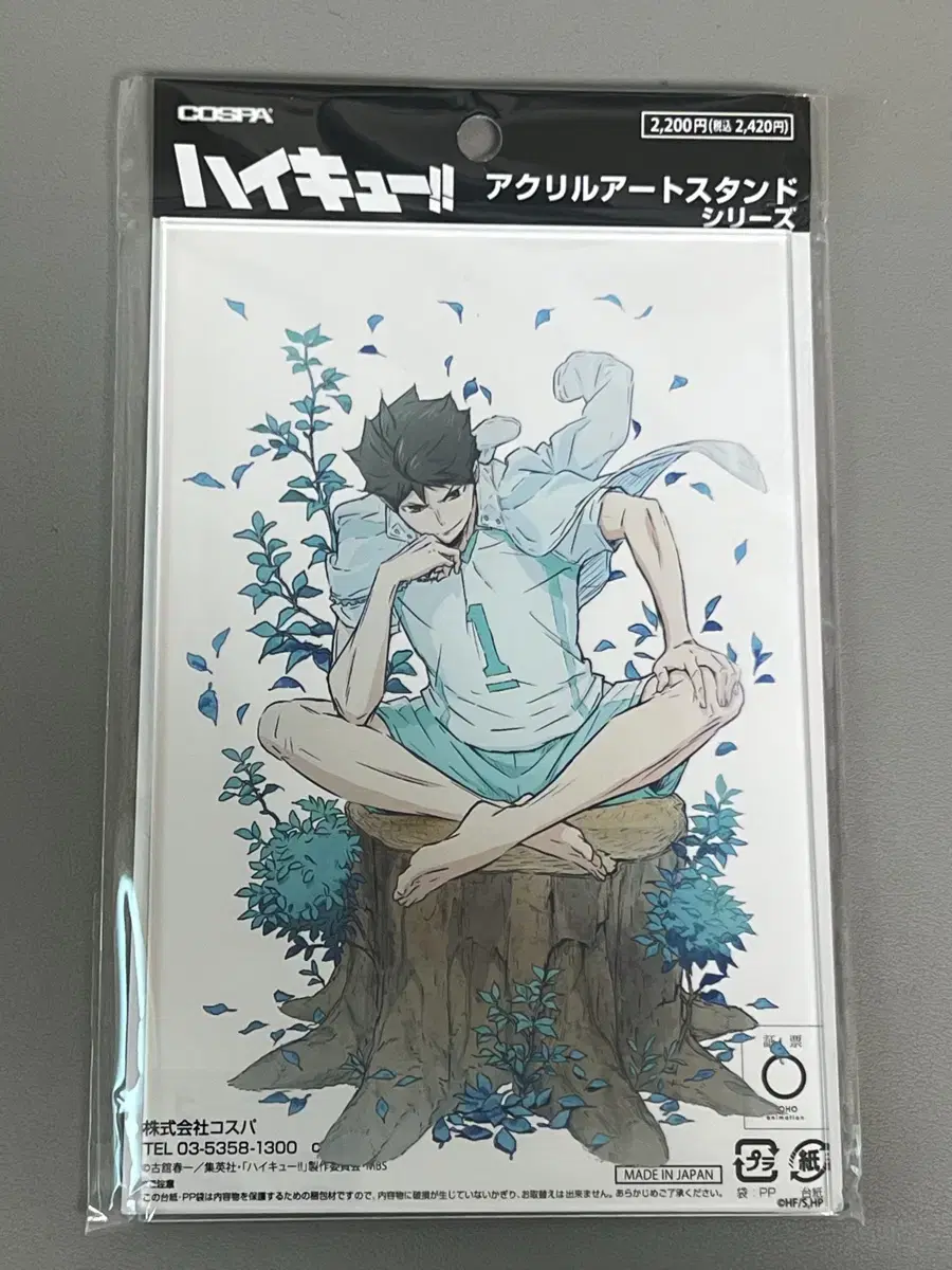 Oikawa Barefoot acrylic