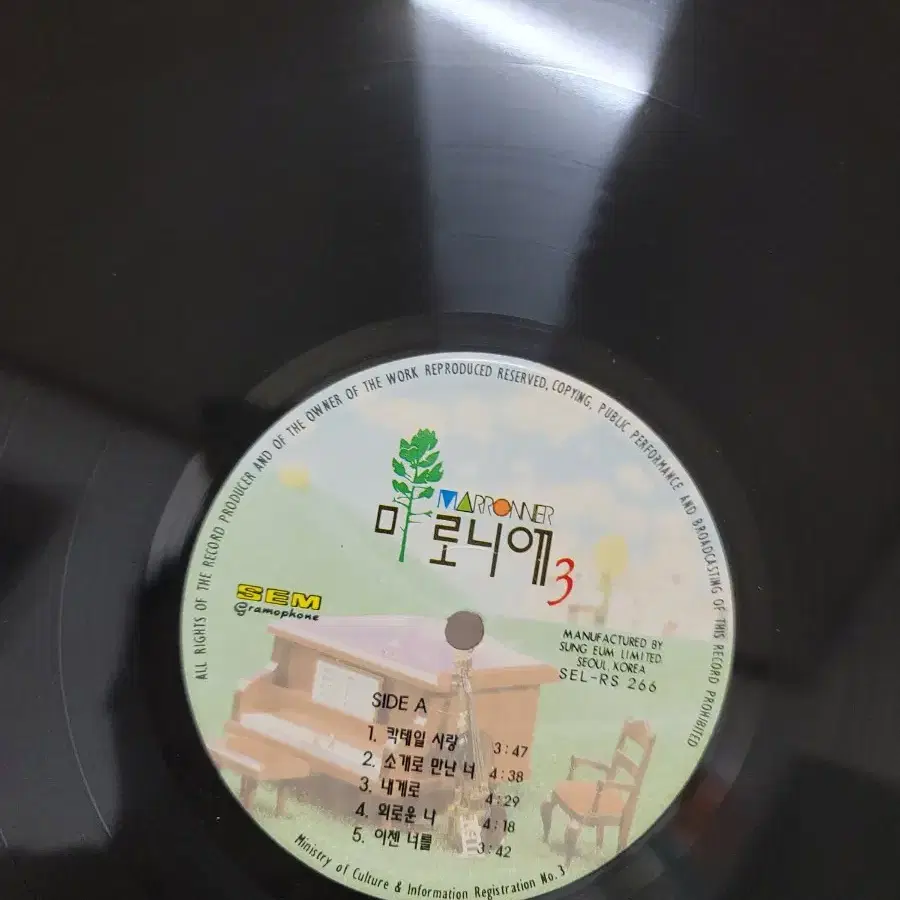 마로니에 lp 초반