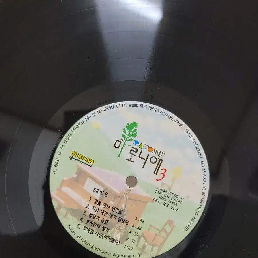 마로니에 lp 초반