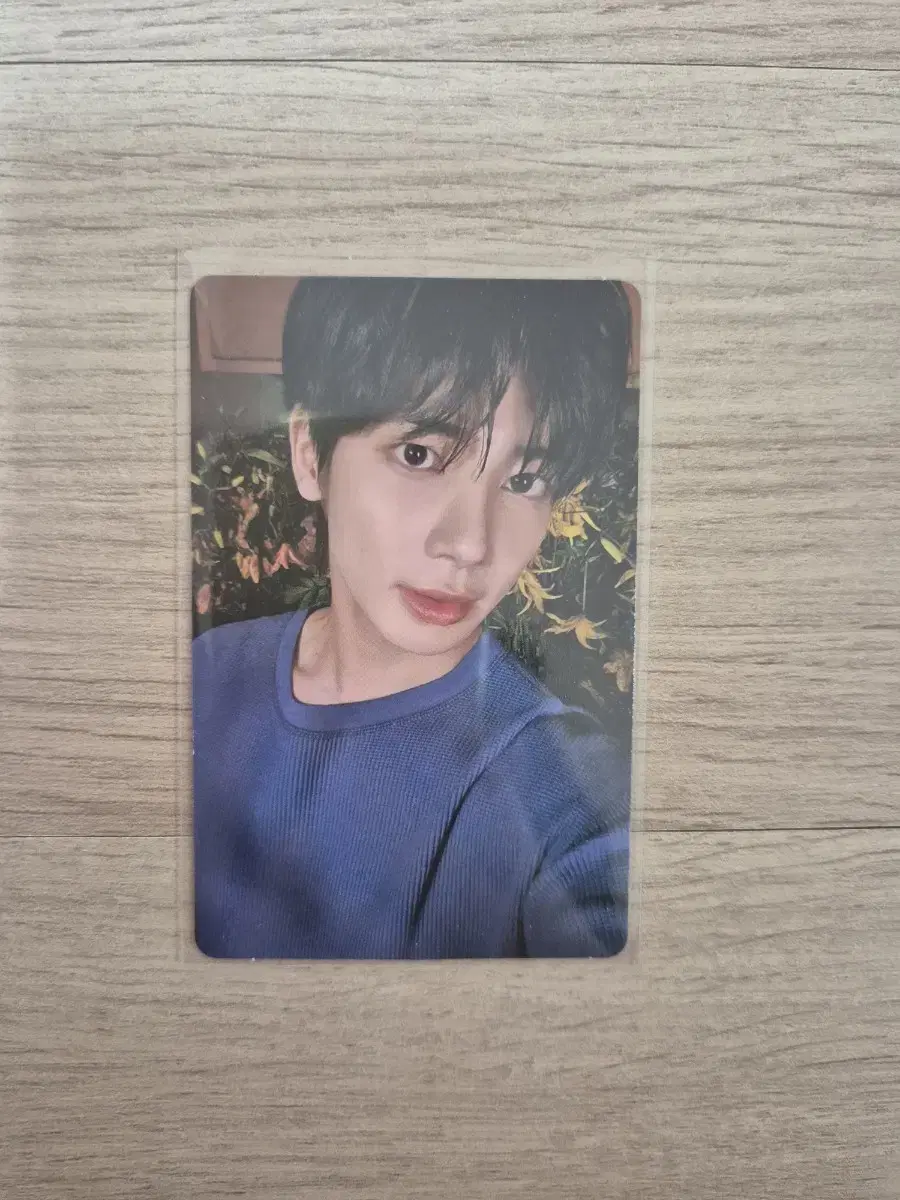 txt sanctuary sanctuary weverse taehyun