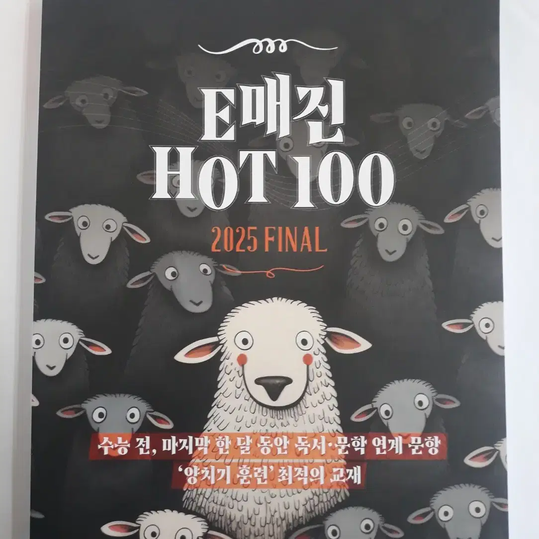 상상 국어 E매진 HOT100 2025 FINAL