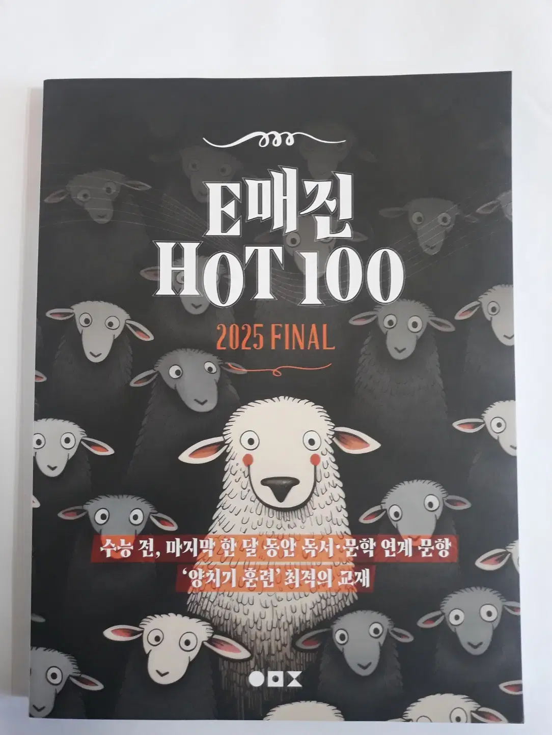 상상 국어 E매진 HOT100 2025 FINAL