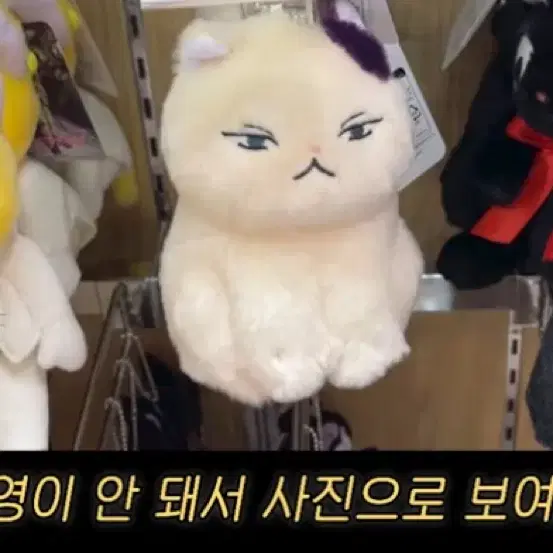 지브리 고양이 인형