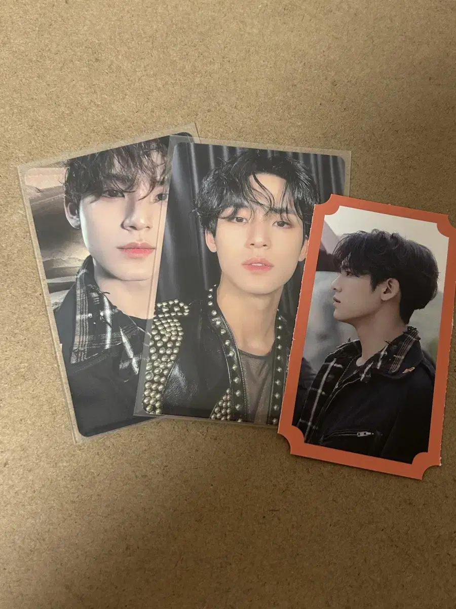 BidderSun mingyu WTS