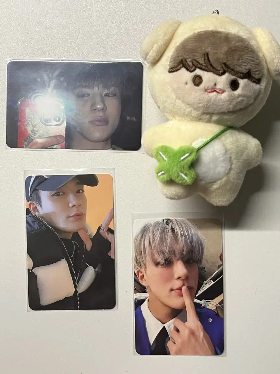 tofu jeno+xeno photocard wts danim