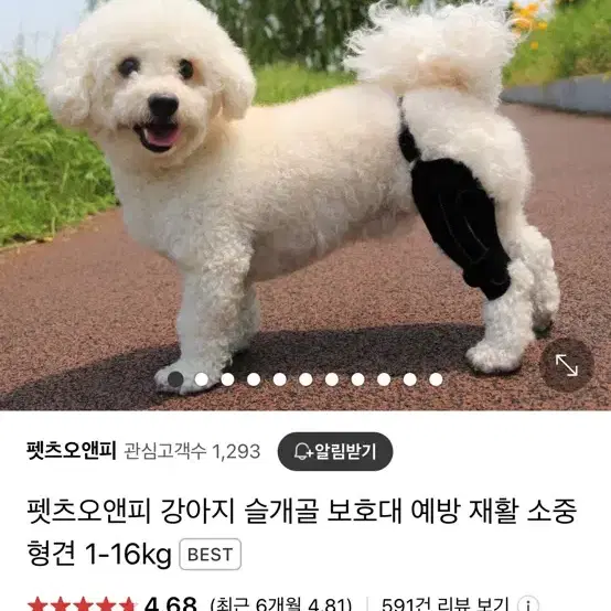 펫츠오앤피 슬개골 보호대