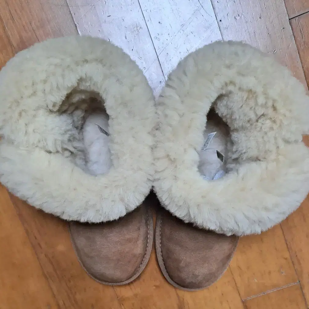 UGG 베일리버튼 어그부츠 225 체스트넛