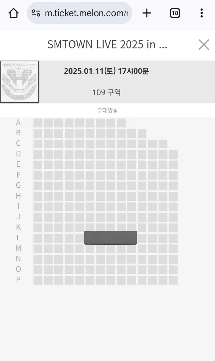 ( 좌석 티포 )SMTOWN LIVE 2025 슴콘
