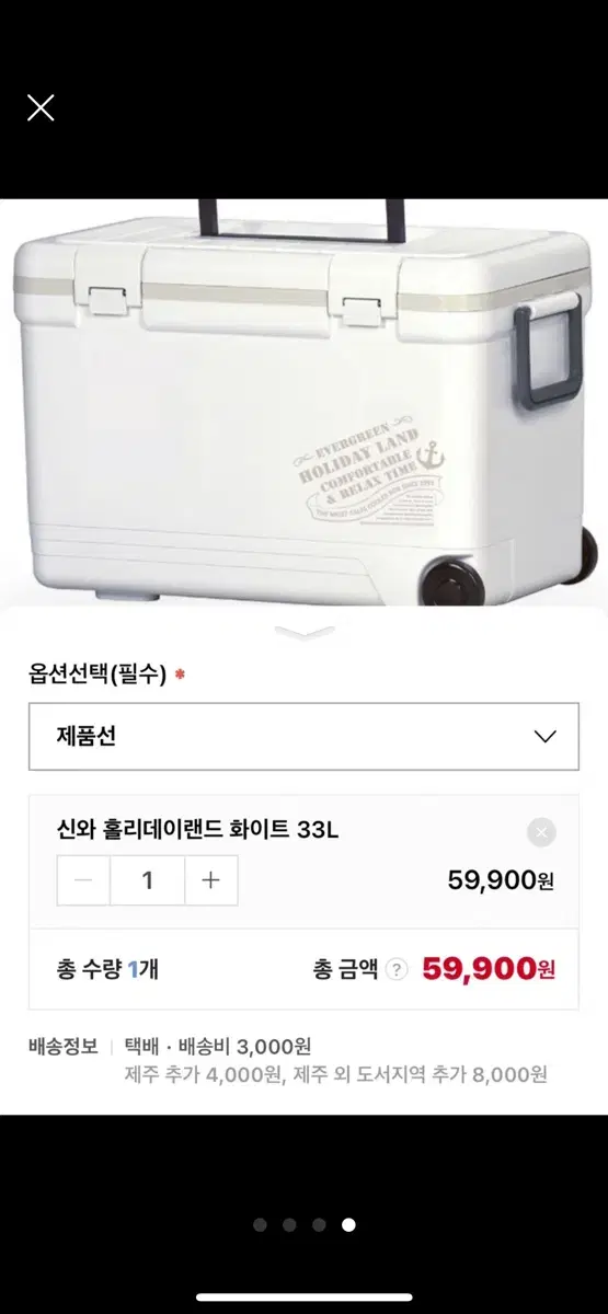 신와 홀리데이랜드 아이스박스 33L