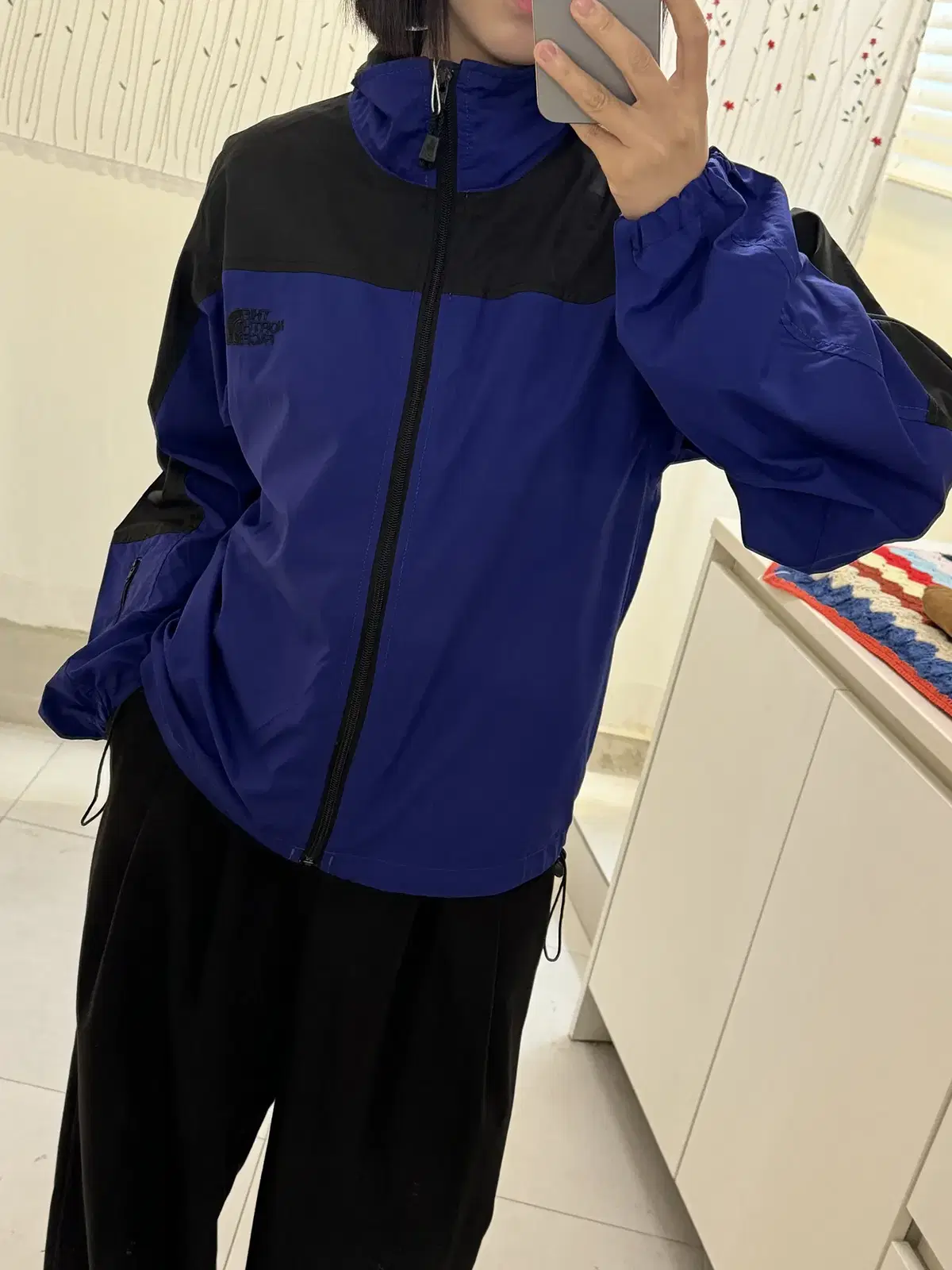 The North Face Colorblocked Windbreaker (Man L) / [11926]