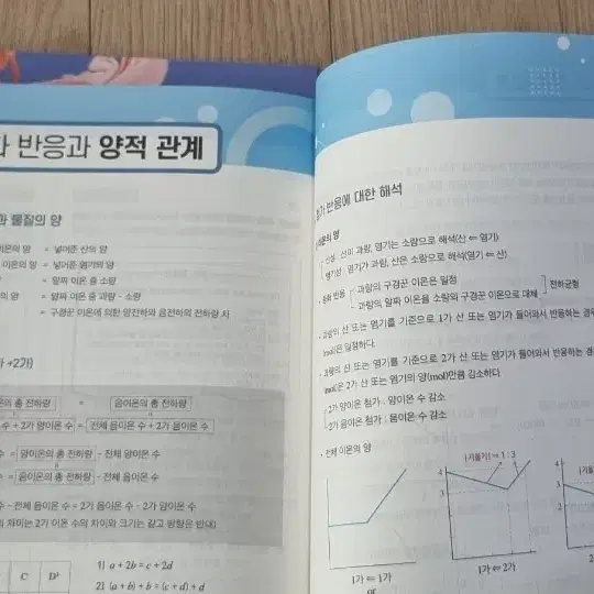 2025 김준 크리티컬 포인트(크포), 워크북 (화학)