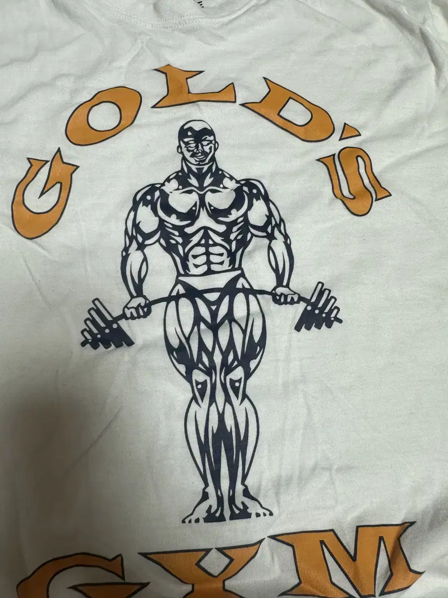 GoldGym MuscleFit L from the USA