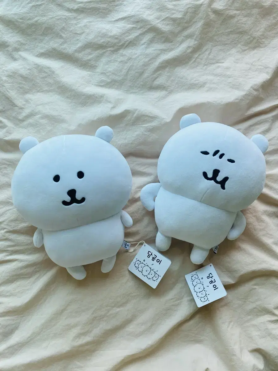 농담곰 담곰이 인형 M