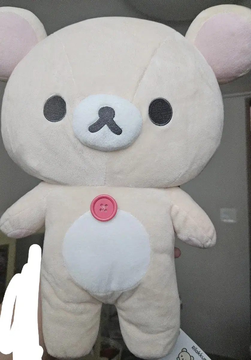 (Quick sale)리락쿠마 베이직 좋아하는것들 M사이즈 doll Korirakkuma