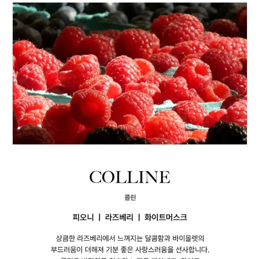 미개봉) 비비앙 섬유향수 콜린 colline 원가 이하 양도