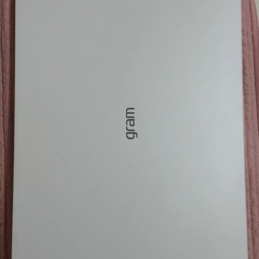 LG 엘지 그램 노트북 램 32GB 용량 2TB