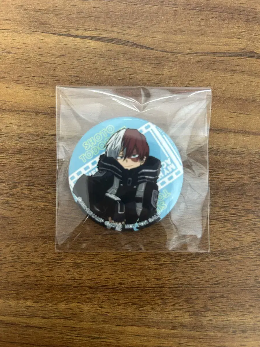 Hiroaka Todoroki Shoto Canbadge