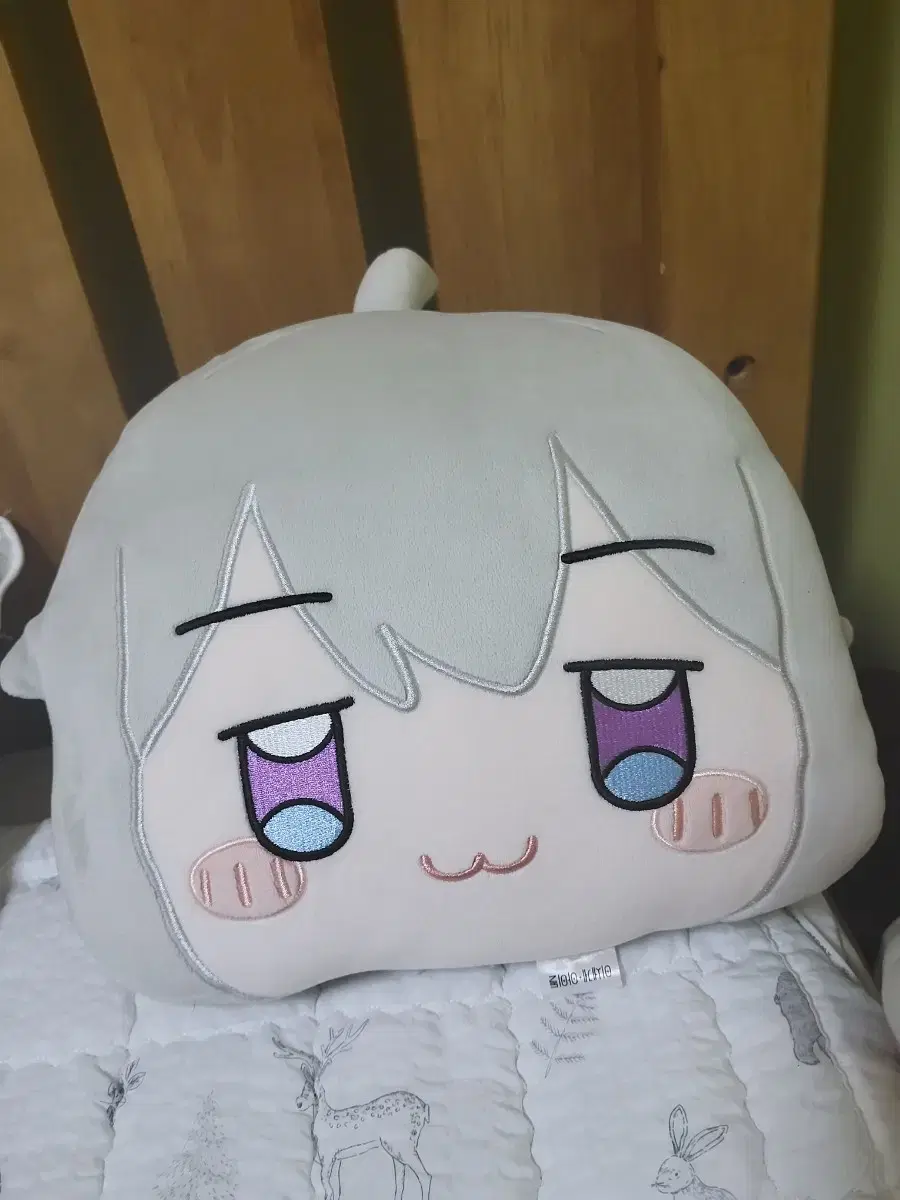 Aine Cushions