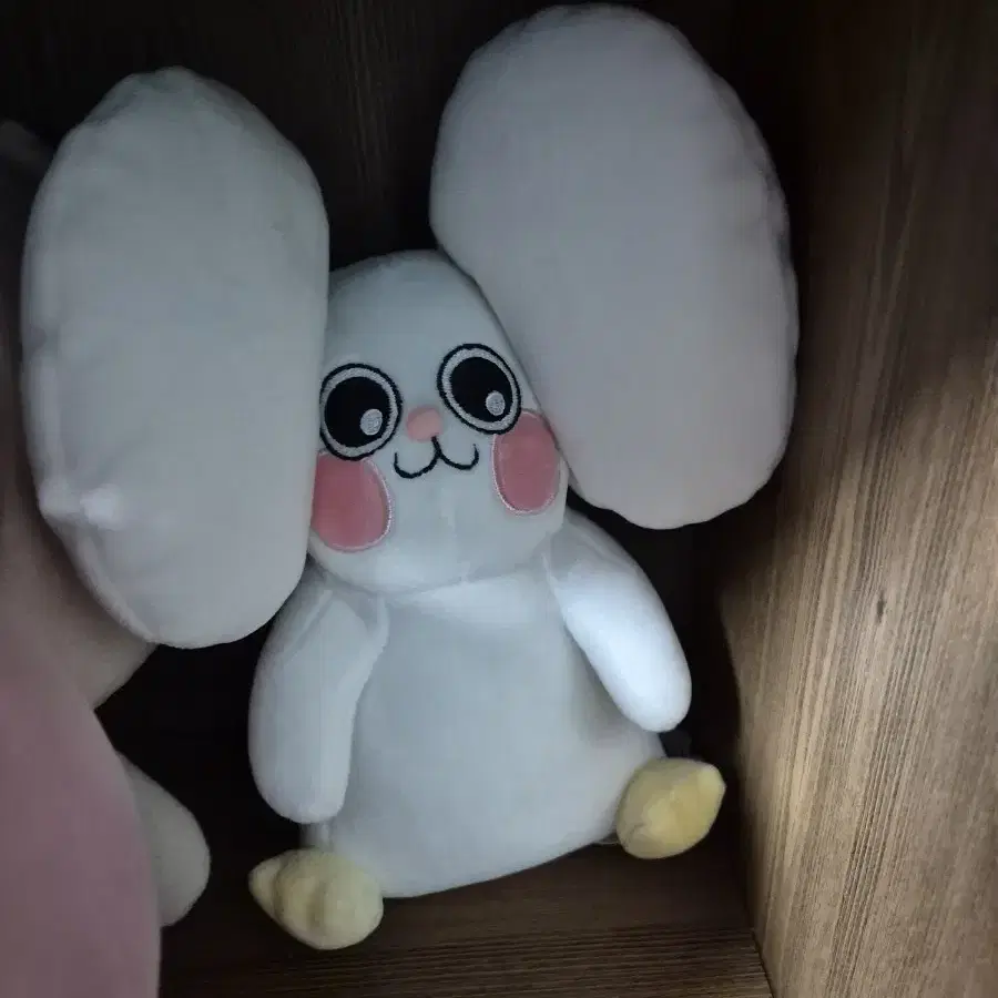 슘당이 인형팝니다