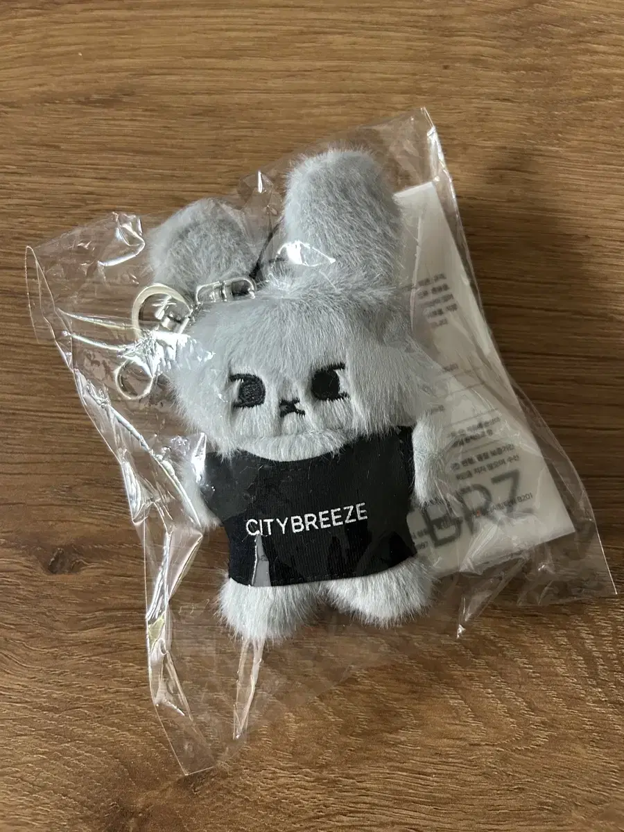 Citybreeze doyoung keyring