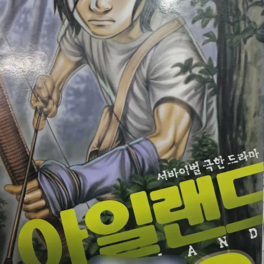 만화 아일랜드