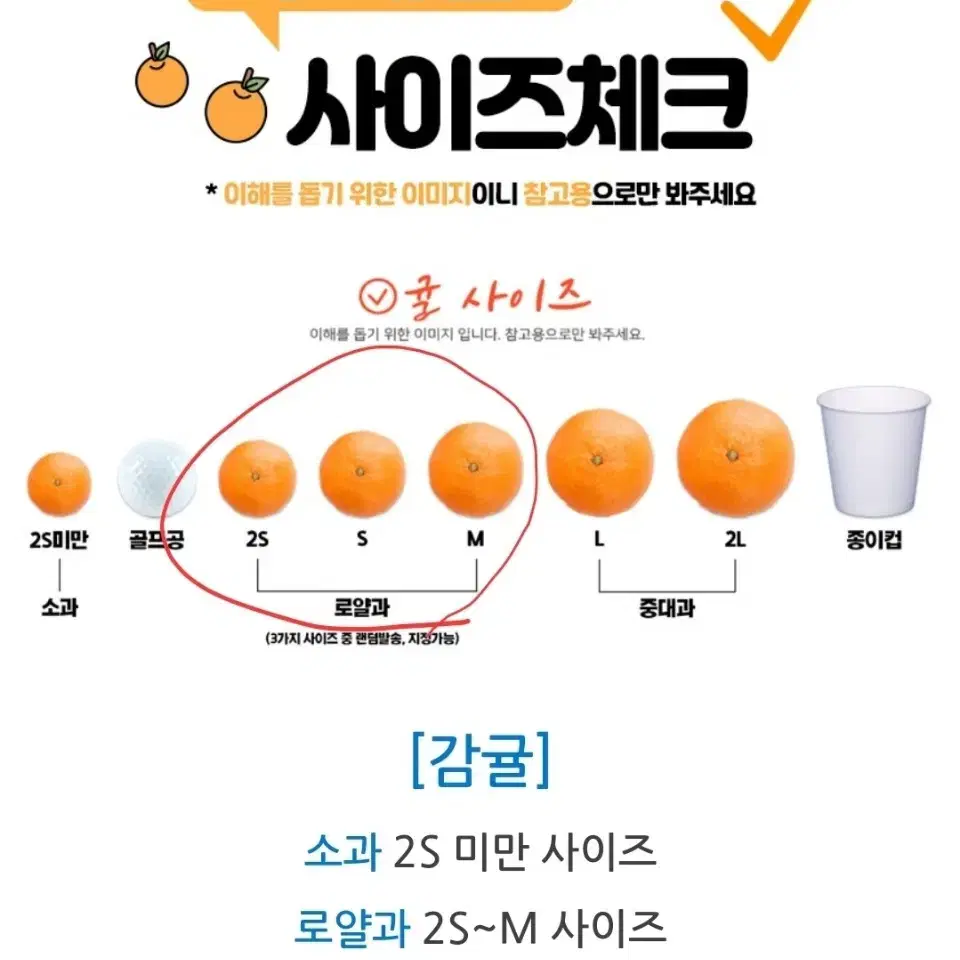 제주 노지감귤 소과 중과 대과 판매합니다