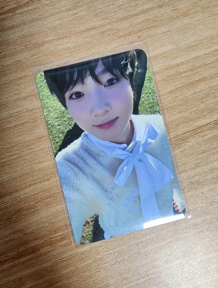 NCT Wish Sakuya Photocard