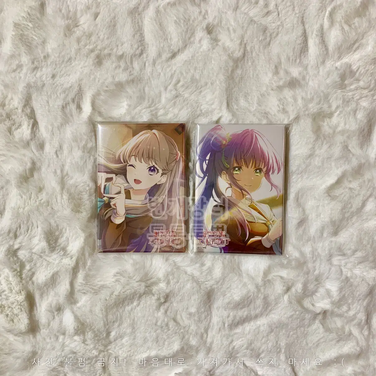 Love Live Hasu no Sora Square Badge Fujishima Megumi Otomune Kozue Square Can