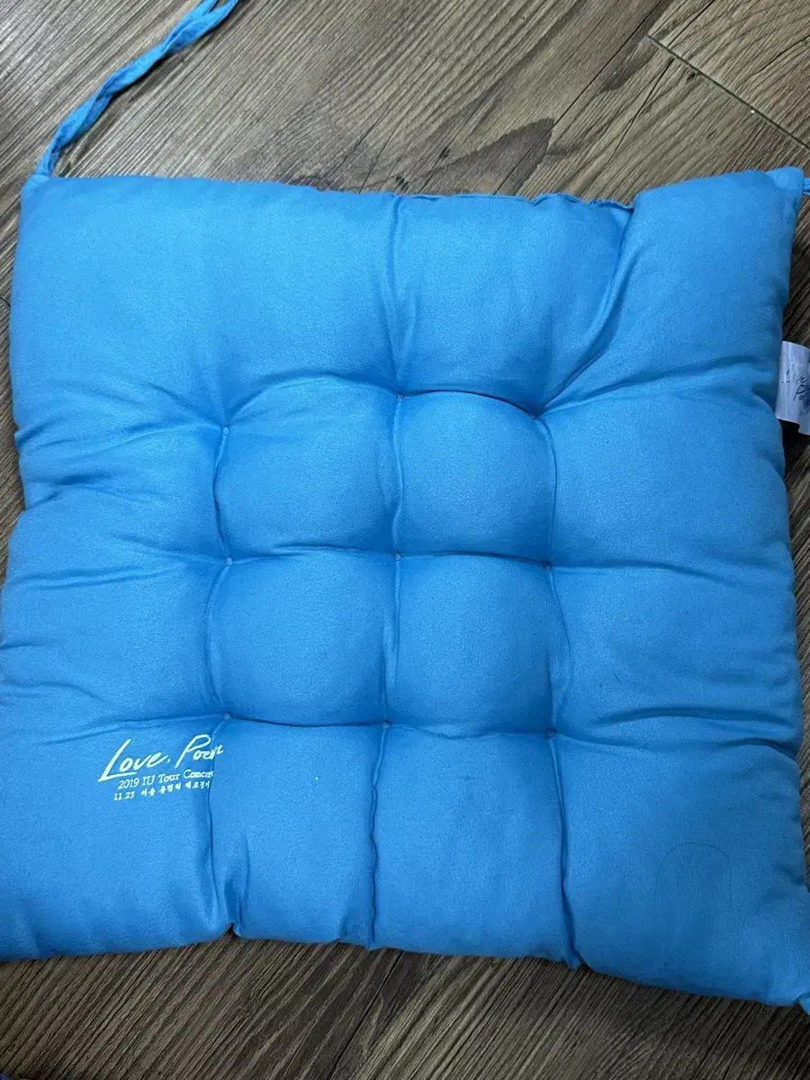 iu 2019 concert cushion lovepoem lovepoem