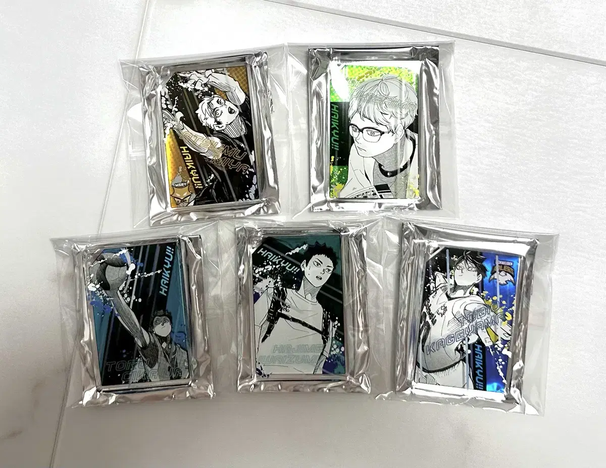 [unsealed] haikyuu domino-shaped acrylic holder