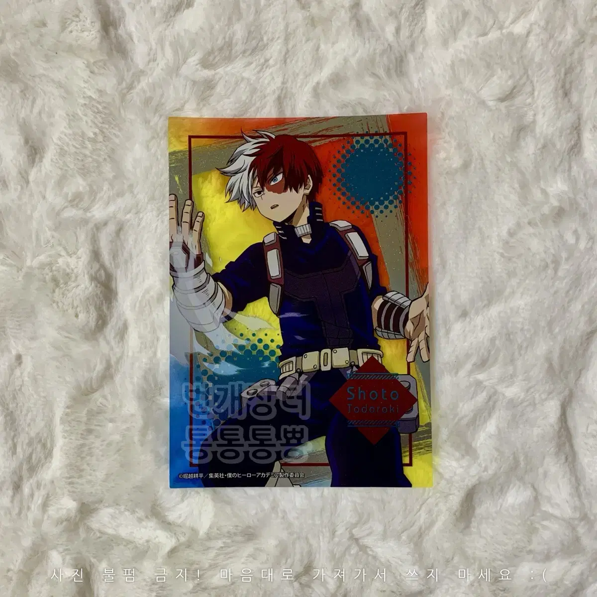 Nahia Clear Photo Sheet Collection Todoroki Shoto Hiroaka