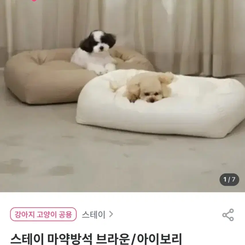 스테이 마약방석 브라운 강아지 고양이