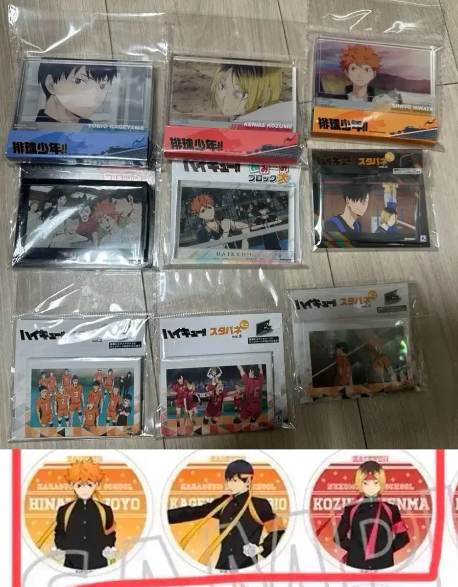 Haikyuu acrylic Sells canbadges