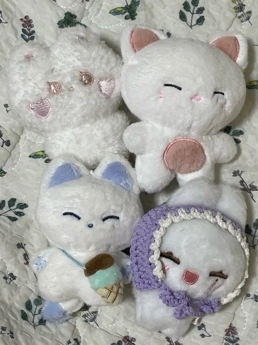 Enhypen sunwoo doll sell nunu chan sunbuns min tanu happy tanu