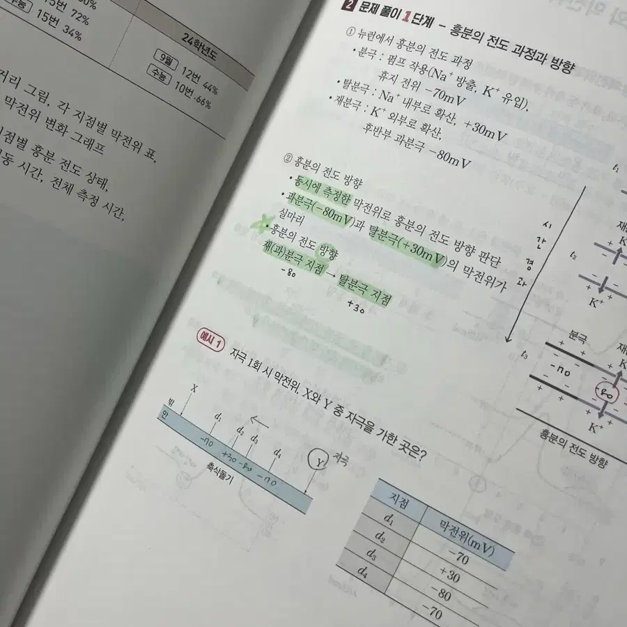 백호 상크스 2025 세트