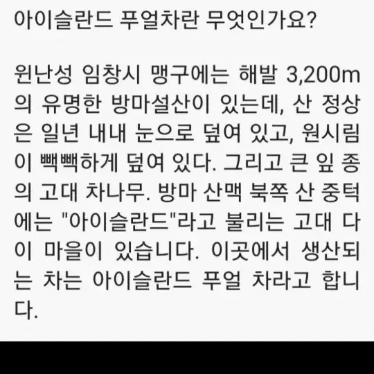 빙도지계 보이차