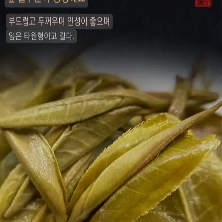 빙도지계 보이차