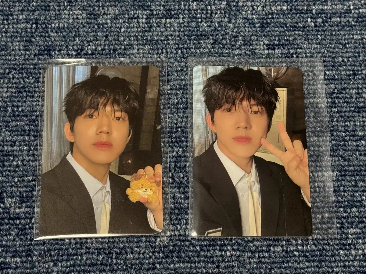 Day 6 Denimals pop up Online Offline Done Photocard