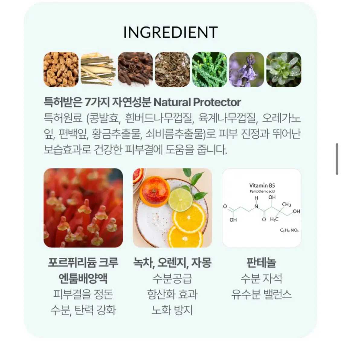 닥터페이스리더 토너